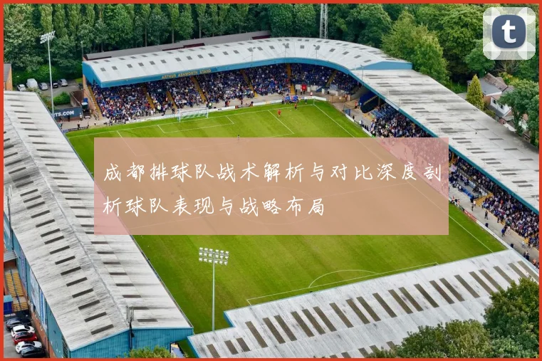 成都排球队战术解析与对比深度剖析球队表现与战略布局