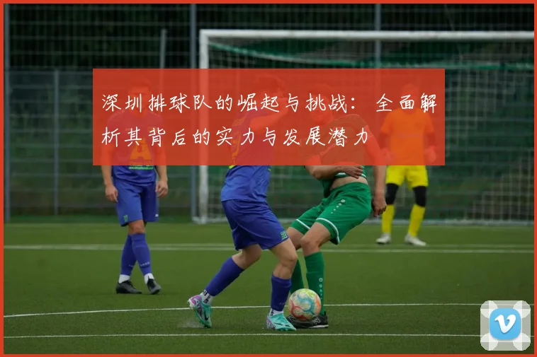 深圳排球队的崛起与挑战：全面解析其背后的实力与发展潜力