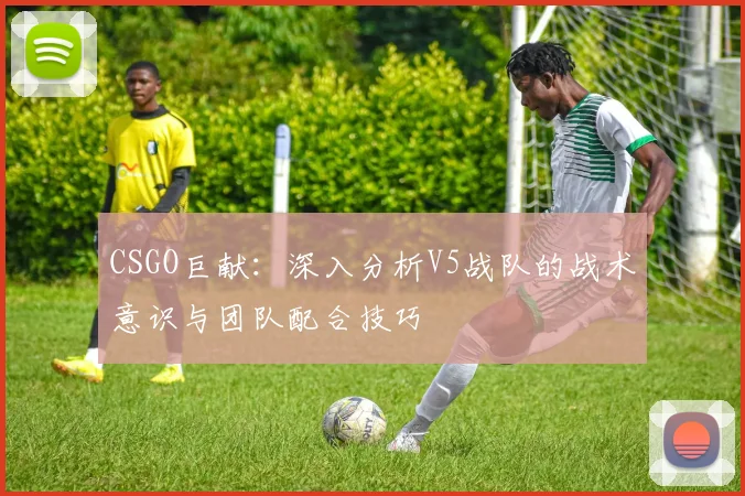 CSGO巨献：深入分析V5战队的战术意识与团队配合技巧